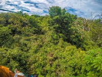 Forest View On A Zipline At The White River Canyon Zip Line Rincon De La Vieja
 - Costa Rica
