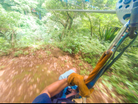 On A Cable From Land To The Canyon Entrance At The White River Canyon Zip Line Rincon De La Vieja
 - Costa Rica