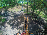 At The Tip Of A Hill Drapped In Forest Horseback Riding Rincon De La Vieja
 - Costa Rica