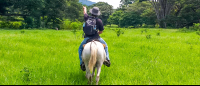 Horseback Riding In Flat Land
 - Costa Rica