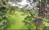 Tree Platform Blue River Zipline
 - Costa Rica