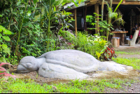 casa tortugo stone turtle 
 - Costa Rica