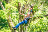 Young Lady Zip Linging From A Tree Platform Tizati Zip Line Rincon De La Vieja
 - Costa Rica