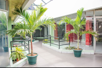 Palm Trees Inside Plaza Dorada
 - Costa Rica