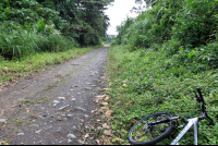 arenal mountain bike 
 - Costa Rica