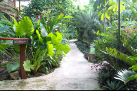 Hotel Pathways
 - Costa Rica