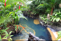 tabacon pool in shan gri la 
 - Costa Rica