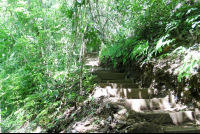 Steps Toward The Montezuma Waterfall
 - Costa Rica