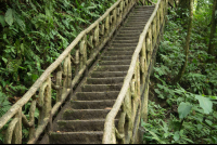 Step Trail To Celeteste River Waterfall
 - Costa Rica