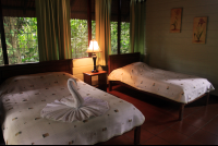        anhinga lodge rooms 
  - Costa Rica