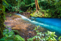 Tenidero Place Where Fresh Water Turns Blue
 - Costa Rica