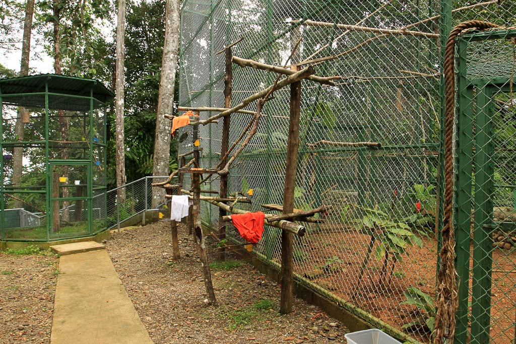 osa animal shelter blog enclosure 
 - Costa Rica