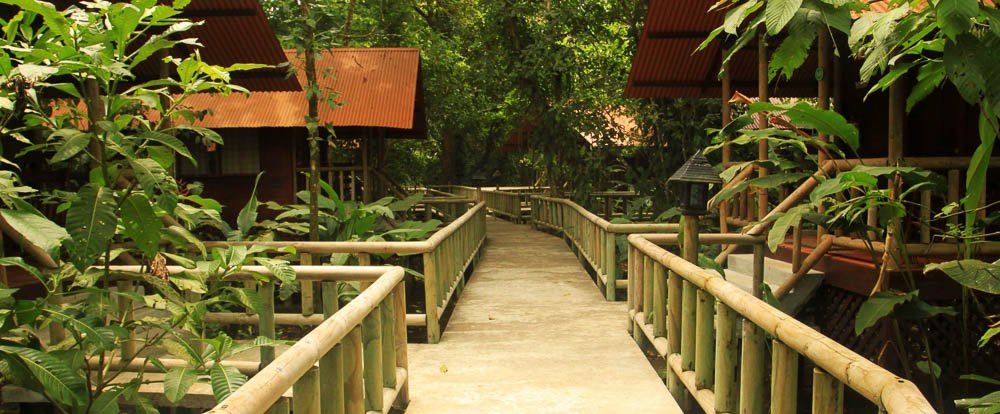        anhinga lodge path 
  - Costa Rica