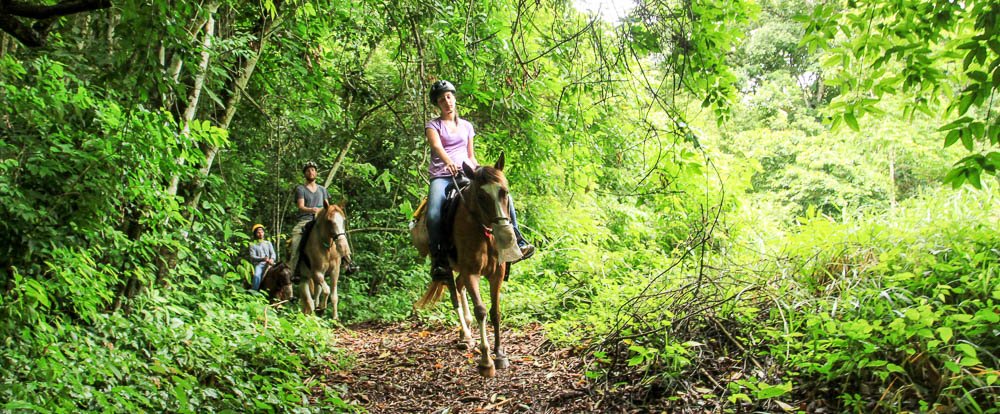 discovery horseback tour rainforest 
 - Costa Rica
