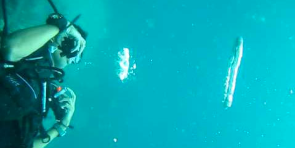        scuba diving blowing bubbles
  - Costa Rica