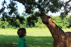 discovery horseback blog smile 
 - Costa Rica