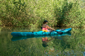 nosara joe kayak lady on a boat floating in mangrove
 - Costa Rica