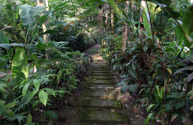 baldi hotsprings hiking trail 
 - Costa Rica
