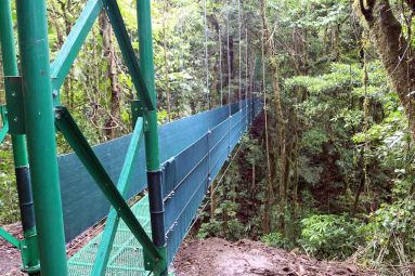 skywalk hangingbridge side view 
 - Costa Rica