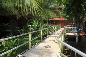 hotel bejuco path 
 - Costa Rica