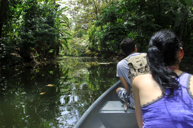 sloth sanctuary canoe ride 
 - Costa Rica