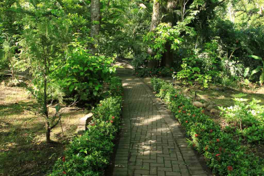 rainforest adventures gardens 
 - Costa Rica