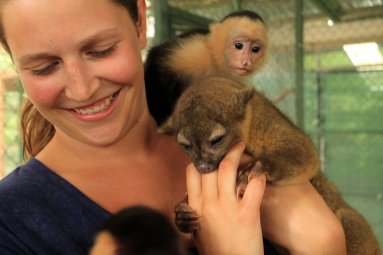 dominical destination osa animal shelter 
 - Costa Rica