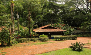 villa lapas overview 
 - Costa Rica