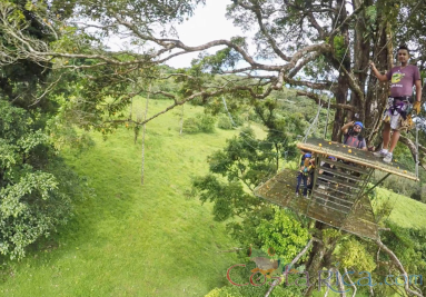 People Walking On A Tree Platform Blue River Zipline
 - Costa Rica