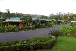 arenal manoa pathway 
 - Costa Rica