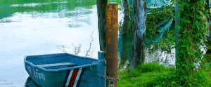 golfito riverfront
 - Costa Rica