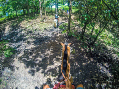 At The Tip Of A Hill Drapped In Forest Horseback Riding Rincon De La Vieja
 - Costa Rica