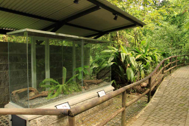 rainforest adventures terrariums 
 - Costa Rica