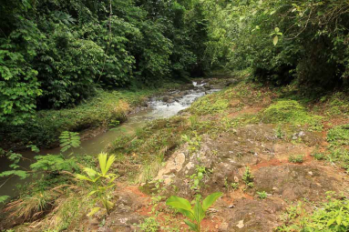 bijagual tour tarcolitos 
 - Costa Rica