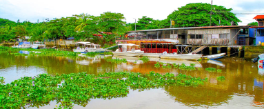 Sierpe Riverfront
 - Costa Rica