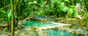 hot springs bosque termales 
 - Costa Rica