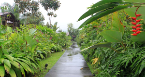 casa luna pathway 
 - Costa Rica