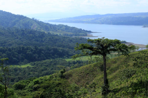 rancho margot tree lake arenal 
 - Costa Rica