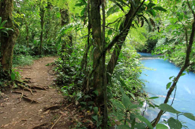 rio celeste trail river 
 - Costa Rica