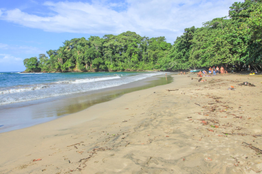 punta uva longview 
 - Costa Rica