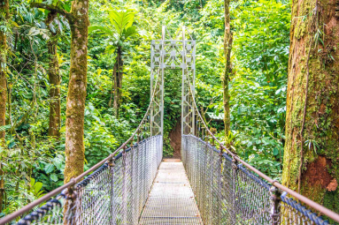 Suspension Bridge Hanging Bridges Mistico Park
 - Costa Rica