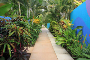 alma del pacifico walkway 
 - Costa Rica