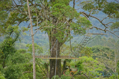 Tree Platform Of Blue River Zipline Rincon De La Vieja
 - Costa Rica
