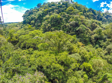 Lateral Forest View From The Tizati Zip Line Rincon De La Vieja
 - Costa Rica