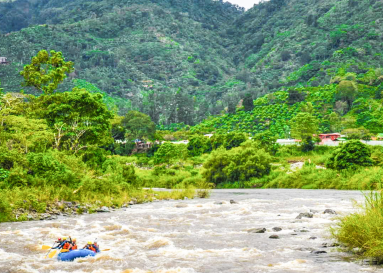 Coffee Fields View While Rafting
 - Costa Rica