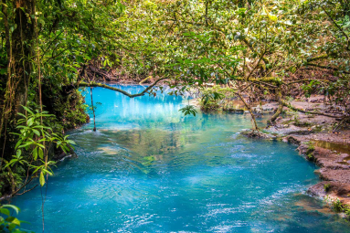 Blue River View From The Hanging Bridge
 - Costa Rica