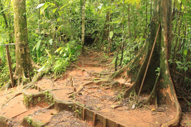 flight of the toucan tree climb combo tour trail 
 - Costa Rica