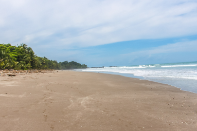 playa grande walk montezuma 
 - Costa Rica