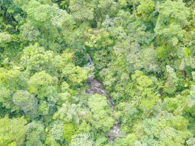 Creek Aerial View Inside Arenal Hanging Bridges Mistico Park
 - Costa Rica