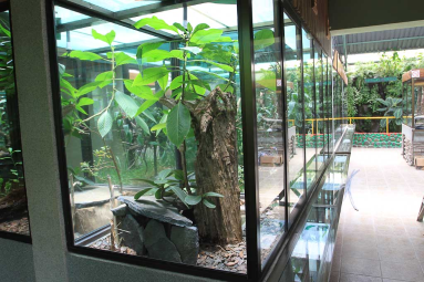 monteverde serpentarium enclosures 
 - Costa Rica